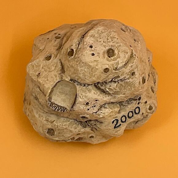 Cherished Teddies Just The Rock 601659 Enesco Figurine - Picture 5 of 7